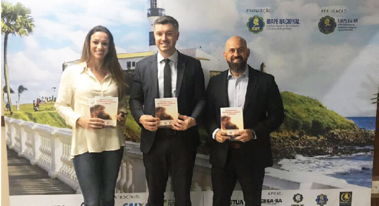 Participação do IBAPE-SP no XX Cobreap