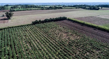 Seminário Internacional sobre Avaliação de Bens Rurais e Ambientais apresenta avanços técnicos e oportunidades de atuação para engenheiros
