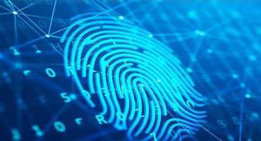 IBAPE-SP anuncia adequações à LGPD